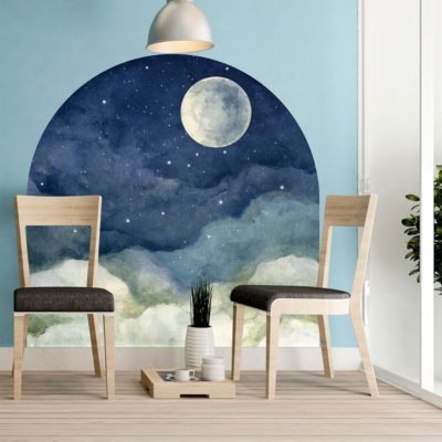 Papier peint intissé pré-encollé fresques géantes - NUIT AU CLAIRE DE LA LUNE - 90x90cm