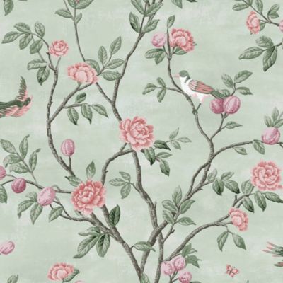 Papier peint intissé Eglantine imprimé fleurs d'eglantine vert L.1000 x l.52cm Laura Ashley
