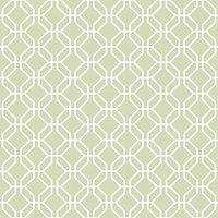 Papier peint intissé Jardin Secret Lutece mat et satiné hexagone vert, blanc l.1000 x l.53 cm