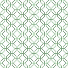 Papier peint intissé Jardin Secret Lutece mat et satiné hexagone vert sapin l.1000 x l.53 cm