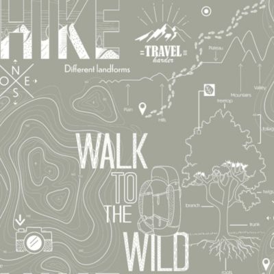 Papier peint intissé Les aventures Walk to the wild gris L.1005 x l.53cm Lutèce