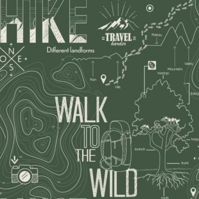 Papier peint intissé Les aventures " Walk to the wild " vert L.1005 x l.53cm Lutèce