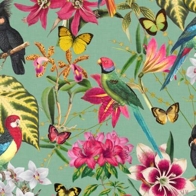Papier peint intissé Paradiso fleurs exotiques multicouleurs L.1000 x l.52cm Envy