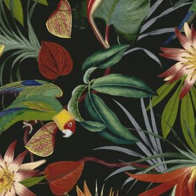 Papier peint Intissé Perroquet L.1005 x l.52cm noir