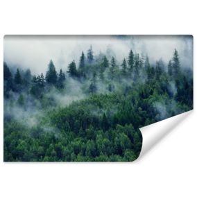 Papier Peint Intisse Photo FORET Dans Le Brouillard 3D Pour Chambre 180cm x 120cm