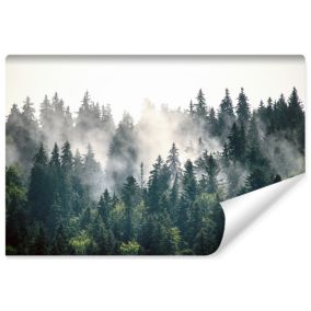 Papier Peint Intisse Photo FORET Dans Le Brouillard 3D Pour Chambre 270cm x 180cm