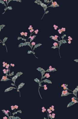 Papier peint intissé Swanton Floral imprimé fleurs rose sur fond bleu marine L.1000 x l.52cm Joules