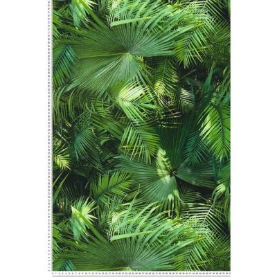 Papier peint Jungle Palm - Vert - A.S. CREATION - 10 x 0,53m - Chambre - A coller - Floral et végétal