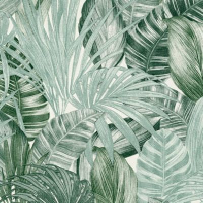 Papier peint Jungle Vert Greenery A.S. Création