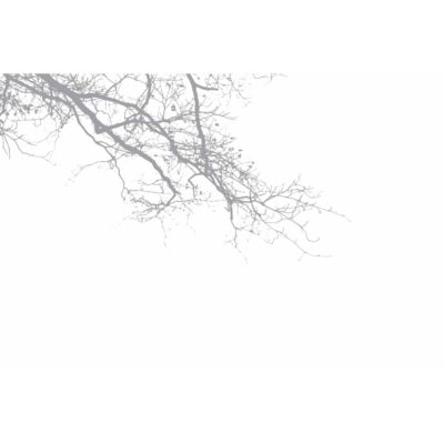 Papier peint panoramique Abstract Branch Gris 225x250cm