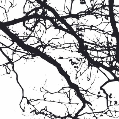 Papier peint panoramique Abstract Branch Noir 150x250cm