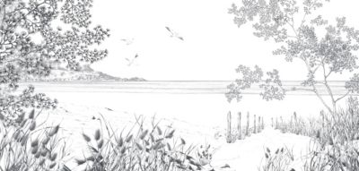 Papier peint panoramique Côtes Sauvages, Beige 525 x 250cm
