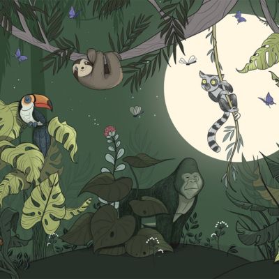 Papier peint panoramique enfant Jungle couleurs Vert 340x250cm