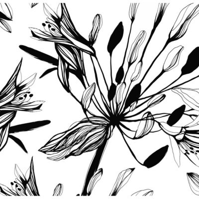 Papier peint panoramique Fleur graphique Noir et blanc 170x250cm