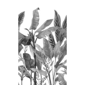 Papier peint panoramique Grandeco palmes noir et blanc L.280 x l.159 cm