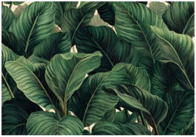 Papier Peint Panoramique Intissé Feuilles Jungle Vert - 350x250 cm - Papier Peint Chambre et salon