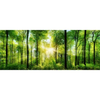 Papier peint panoramique intissé forêt dans les bois vert, 14 lés, L.280 x l.700cm IDPanneaux