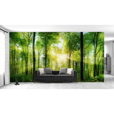 Papier peint panoramique intissé forêt dans les bois vert, 14 lés, L.280 x l.700cm IDPanneaux