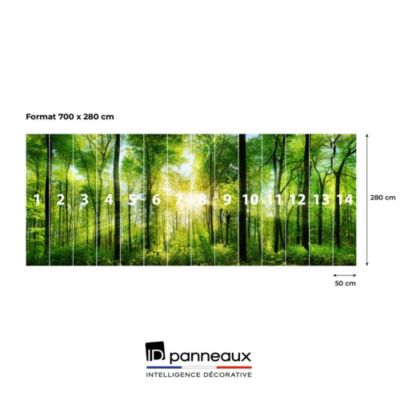 Papier peint panoramique intissé forêt dans les bois vert, 14 lés, L.280 x l.700cm IDPanneaux