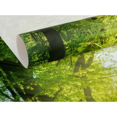 Papier peint panoramique intissé forêt dans les bois vert, 14 lés, L.280 x l.700cm IDPanneaux