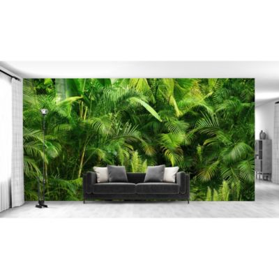 Papier peint panoramique intissé forêt fougère tropicale vert foncé, 16 lés, L.280 x l.800cm IDPanneaux