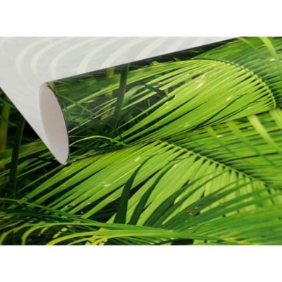 Papier peint panoramique intissé forêt fougère tropicale vert foncé, 16 lés, L.280 x l.800cm IDPanneaux