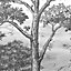 Papier peint panoramique Intissé GoodHome Turcoaz noir et blanc 280 x 159 cm