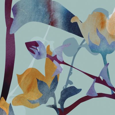 Papier peint panoramique Ivy XL - Multicolore