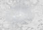 Papier peint panoramique Komar Flora L.4 m x l.280 cm