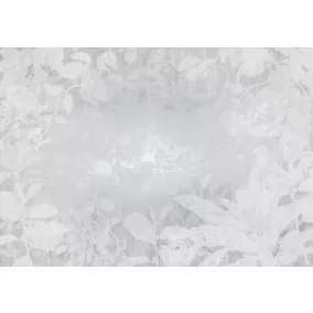 Papier peint panoramique Komar Flora L.4 m x l.280 cm