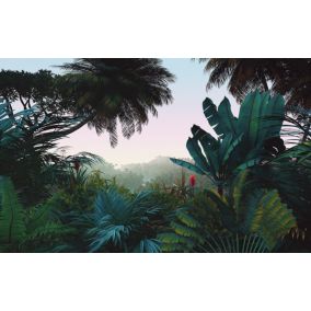 Papier peint panoramique Komar Jungle Morning L.4 m x l.250 cm