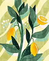 Papier peint panoramique Komar Lemon fresh L.2 m x l.250 cm