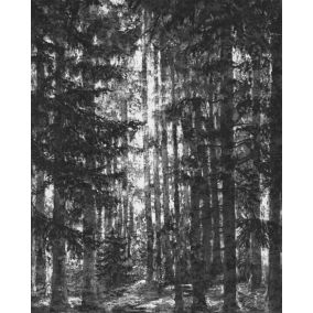 Papier peint panoramique Komar Lustres Lapland L.2 m x l.250 cm