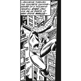 Papier peint panoramique Komar Spider-Man Classic Climb L.1 m x l.200 cm