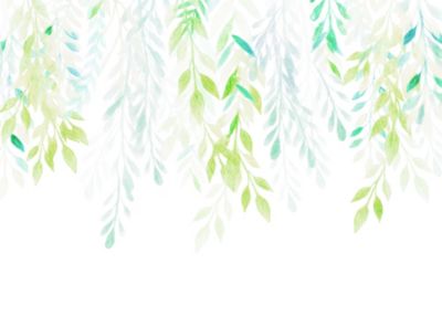 Papier peint panoramique Komar Summer leaves L.3.5 m x l.250 cm