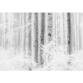 Papier peint panoramique Komar Winter Woods L.4 m x l.280 cm