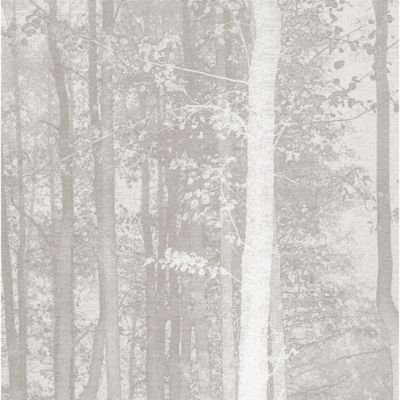 Papier peint panoramique La Forêt enchantée Brun 170x250cm