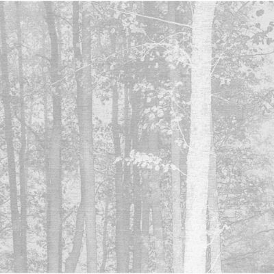 Papier peint panoramique La Forêt enchantée Gris 170x250cm