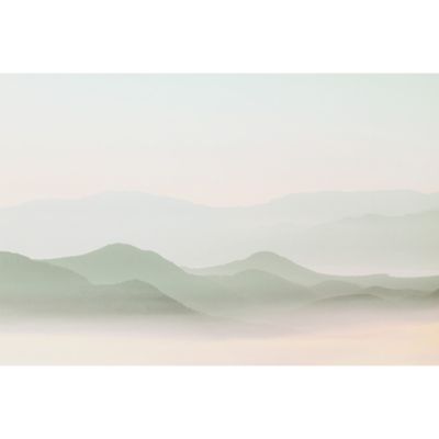 Papier peint panoramique Misty Mountains Vert 255x250cm