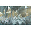 Papier peint panoramique mystique jungle 400x250cm