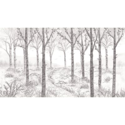 Papier peint panoramique Paysage forêt de bouleau Gris 150x250cm