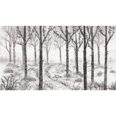 Papier peint panoramique Paysage forêt de bouleau Noir et blanc 150x250cm