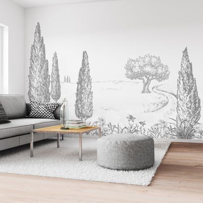 Papier Peint Panoramique Paysage Gris - 99DECO - L336xH270cm