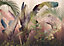 Papier peint panoramique Rainforest Mist 350x250cm Komar