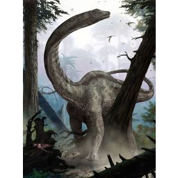 Papier Peint panoramique sur intissé Dinosaure 184 x 248 cm