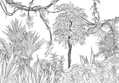 Papier peint panoramique sur intissée de Komar - Blanca - Taille: 400 x 280 cm