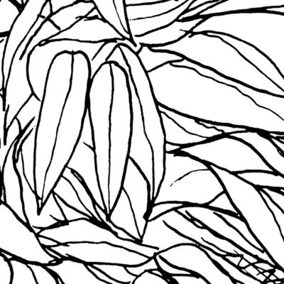 Papier peint panoramique sur intissée de Komar - Blanca - Taille: 400 x 280 cm