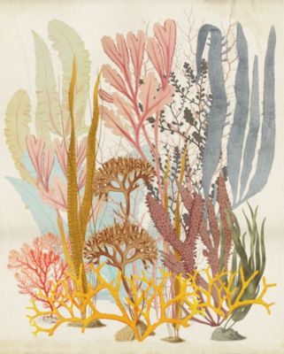 Papier peint panoramique sur intissée de Komar - Catchy Corals - Taille: 200 x 250 cm
