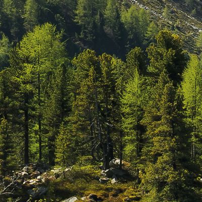 Papier peint panoramique sur intissée de Komar - Stefan Hefele Bergmagie - Taille: 450 x 280 cm