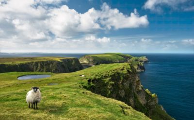 Papier peint panoramique sur intissée de Komar - Stefan Hefele Green Ireland - Taille: 450 x 280 cm